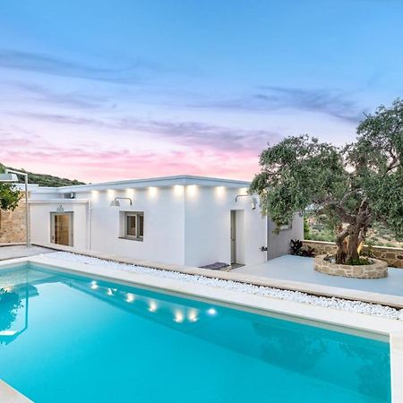 Villa Evrithea Kallergiana エクステリア 写真
